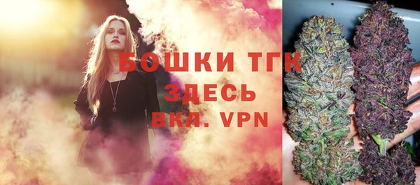 трава Инта