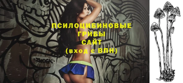 трава Инта