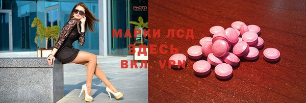 трава Инта